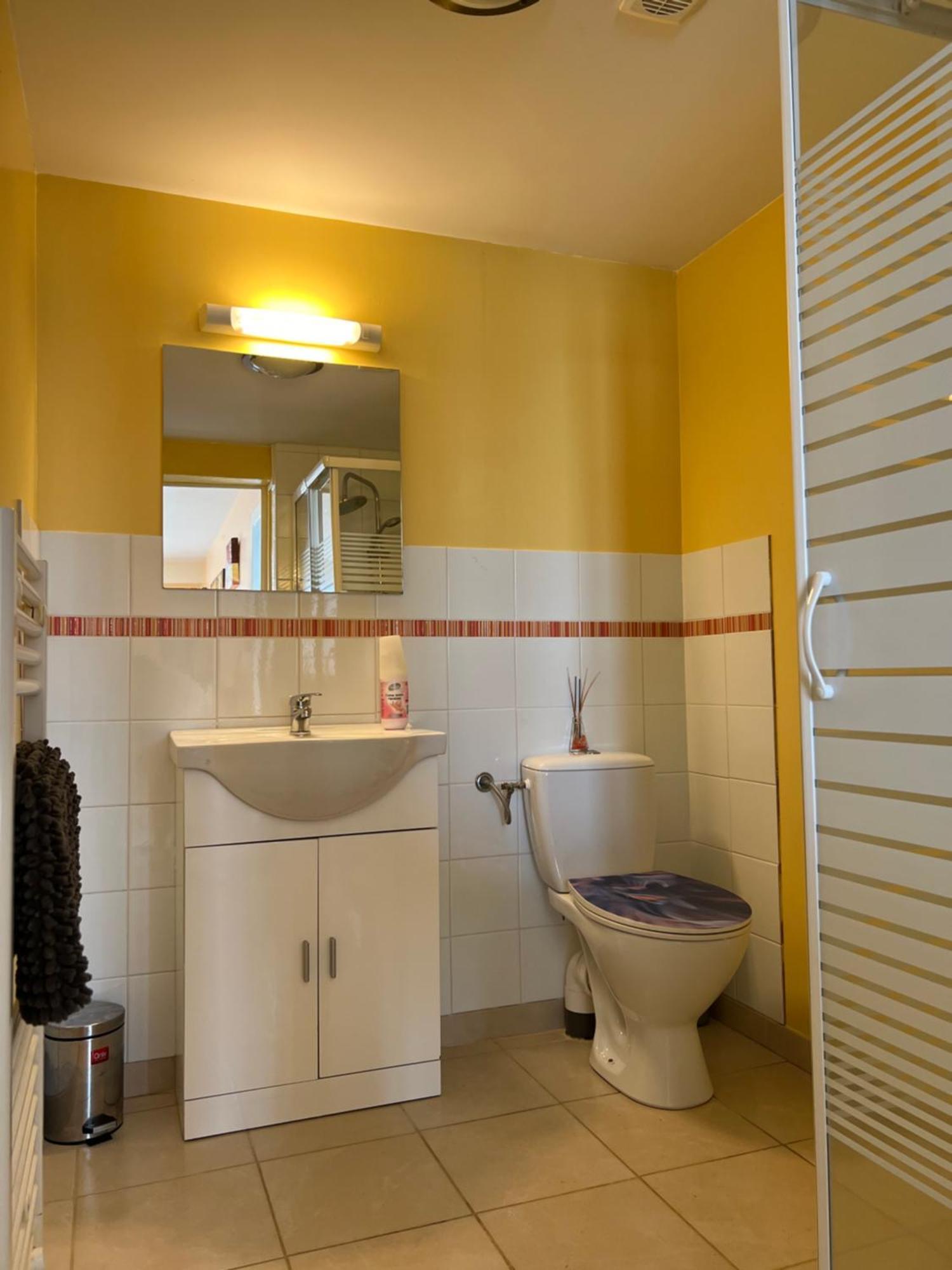 Gite Du St Martin Apartment Oradour-Fanais Екстериор снимка
